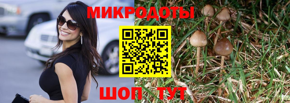 Киржач  цена   Вход с VPN  Галлюциногенные грибы Magic Shrooms  Галлюциногенные грибы Magic Shrooms 